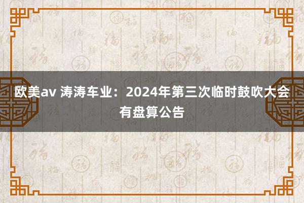 欧美av 涛涛车业：2024年第三次临时鼓吹大会有盘算公告