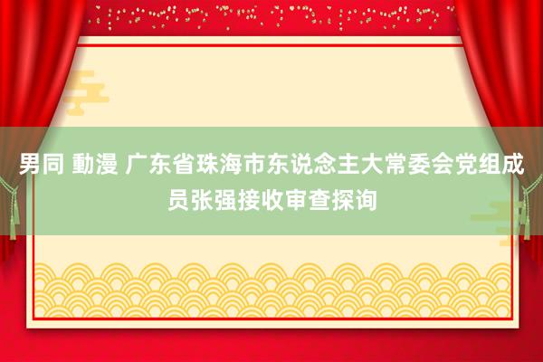男同 動漫 广东省珠海市东说念主大常委会党组成员张强接收审查探询